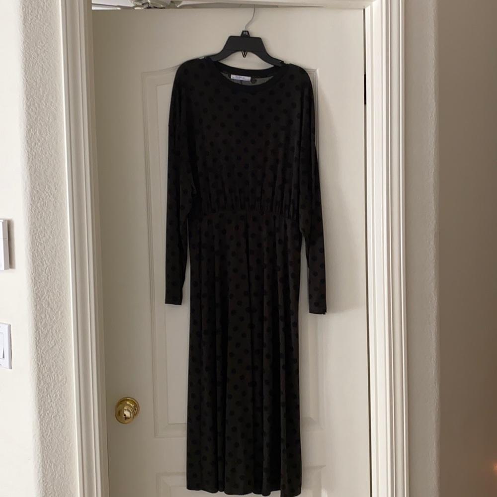 Zara dress